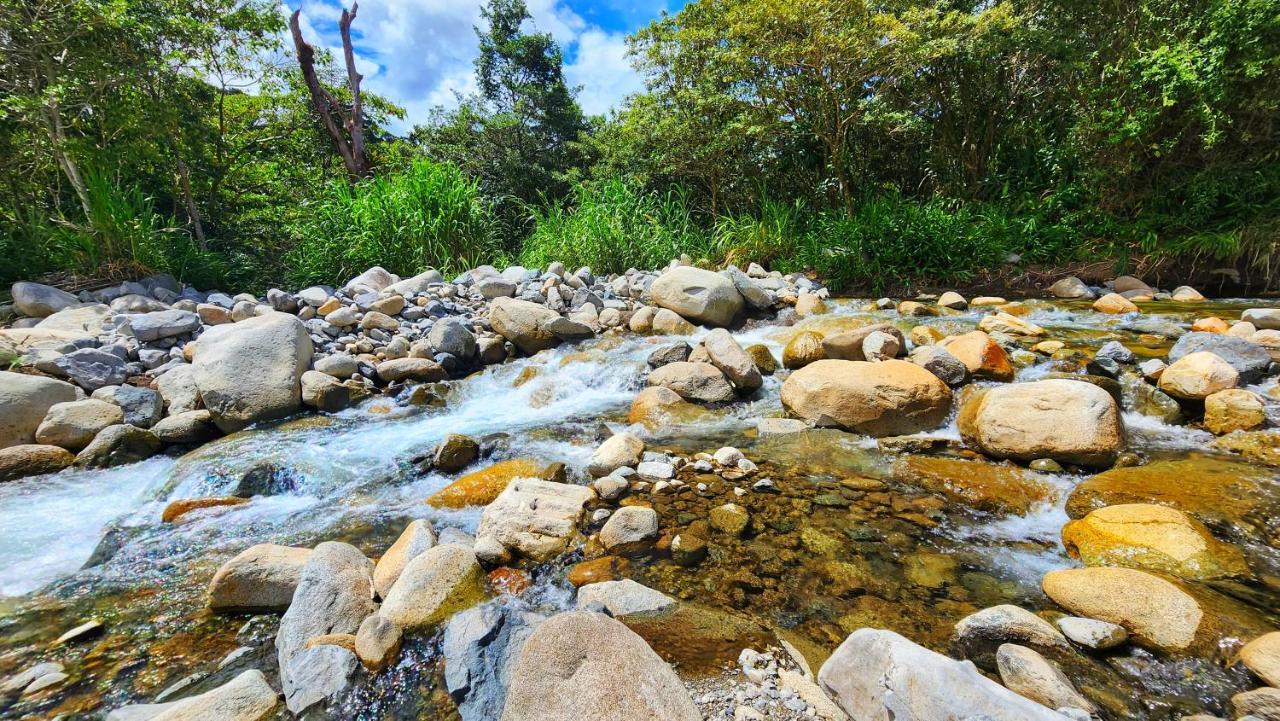 Rio Verde By Villa Alejandro بوكيتي المظهر الخارجي الصورة