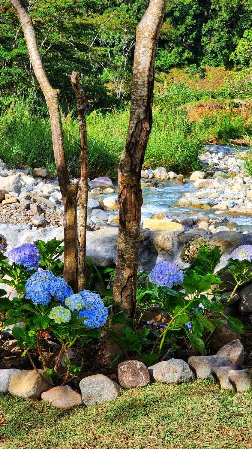 Rio Verde By Villa Alejandro بوكيتي المظهر الخارجي الصورة